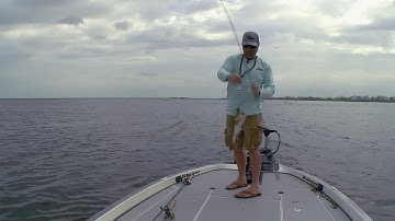 Season 4 Project Z: Breaking Down the Bite Ep. 3