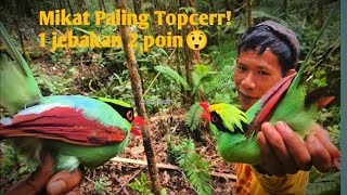 Mikat Burung ekek keling Paling Mantap dan Josss❗#jombapetualang
