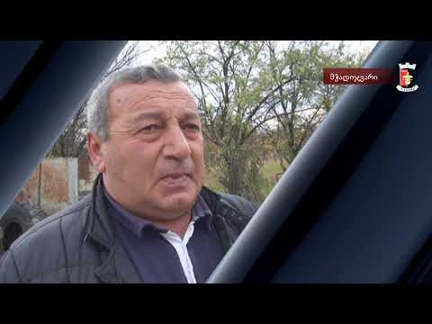 სოფელ მჭადიჯვარში მიმდინარეობს გაზიფიცირების სამუშაოები