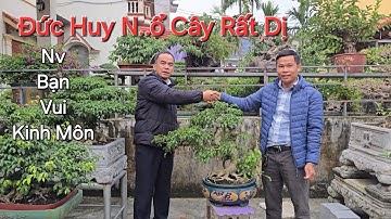 Thăm VƯỜN CÂY ĐẸP nhà bạn VUI - Kinh Môn - Hải Phòng - ĐỨC HUY MUA 1 CÂY RẤT DỊ .
