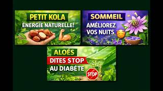 Vitalité Naturelle Tv . Bienvenue Sur Votre Chaine Santé Naturelle.