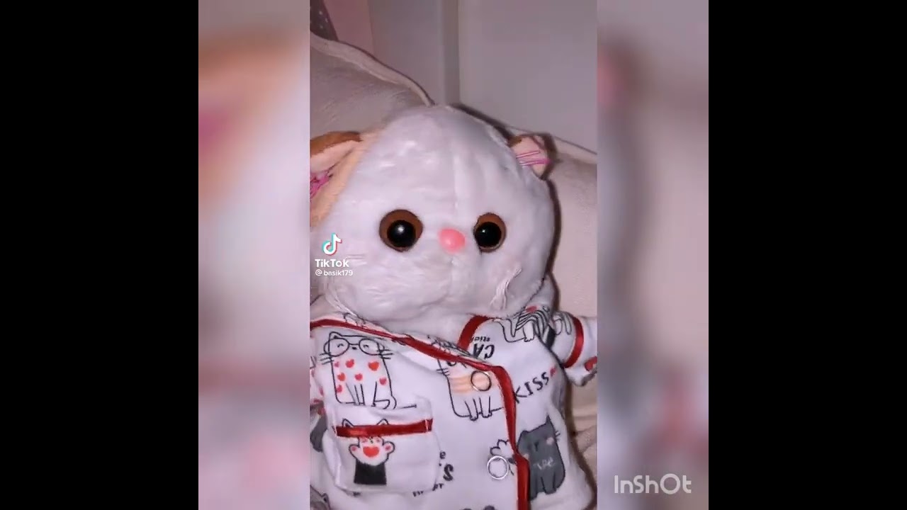Басики из тт