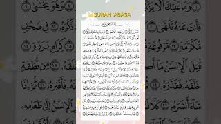 SURAH 'ABASA