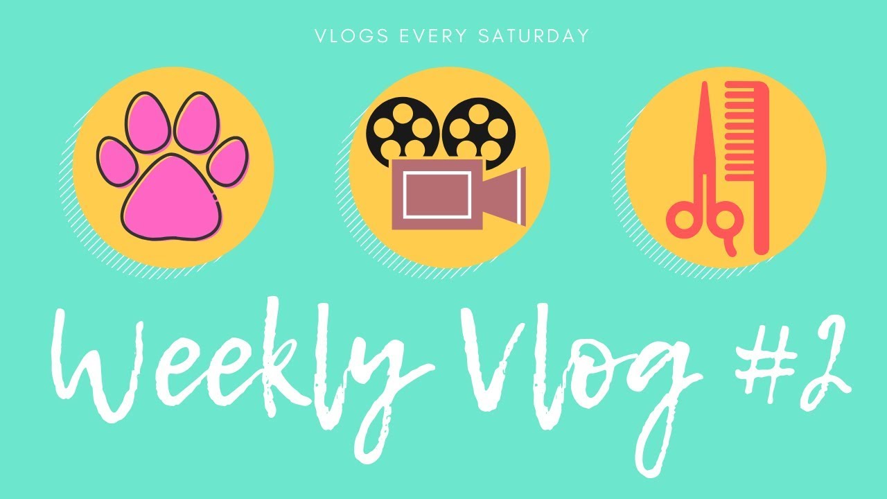 New Puppy, Double Filming, and a New Haircut💁🏼♀️ ll HAPPY BLONDE VLOGS - YouTube