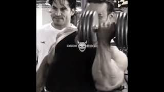 SAPFIR MADE IT - TESTCORE | TESTESTERON | ULTRA SLOWED