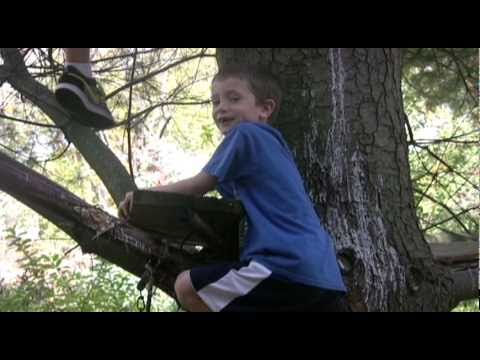 Pig Wreck Tree