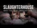 Slaughterhouse. What the meat industry hides. // Documentary film.