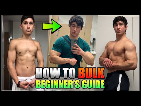 Explain Bulking and Cutting 101: Understanding the Basics of Muscle  Building and Weight Loss Like I'm 5 Years Old