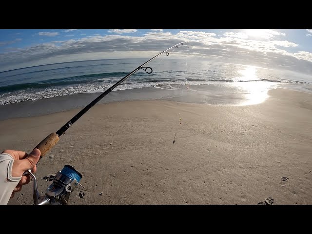You Don't Need A Big Surf Rod To Fish From The Beach - Beach Fishing With A  6 to 7ft Rod 