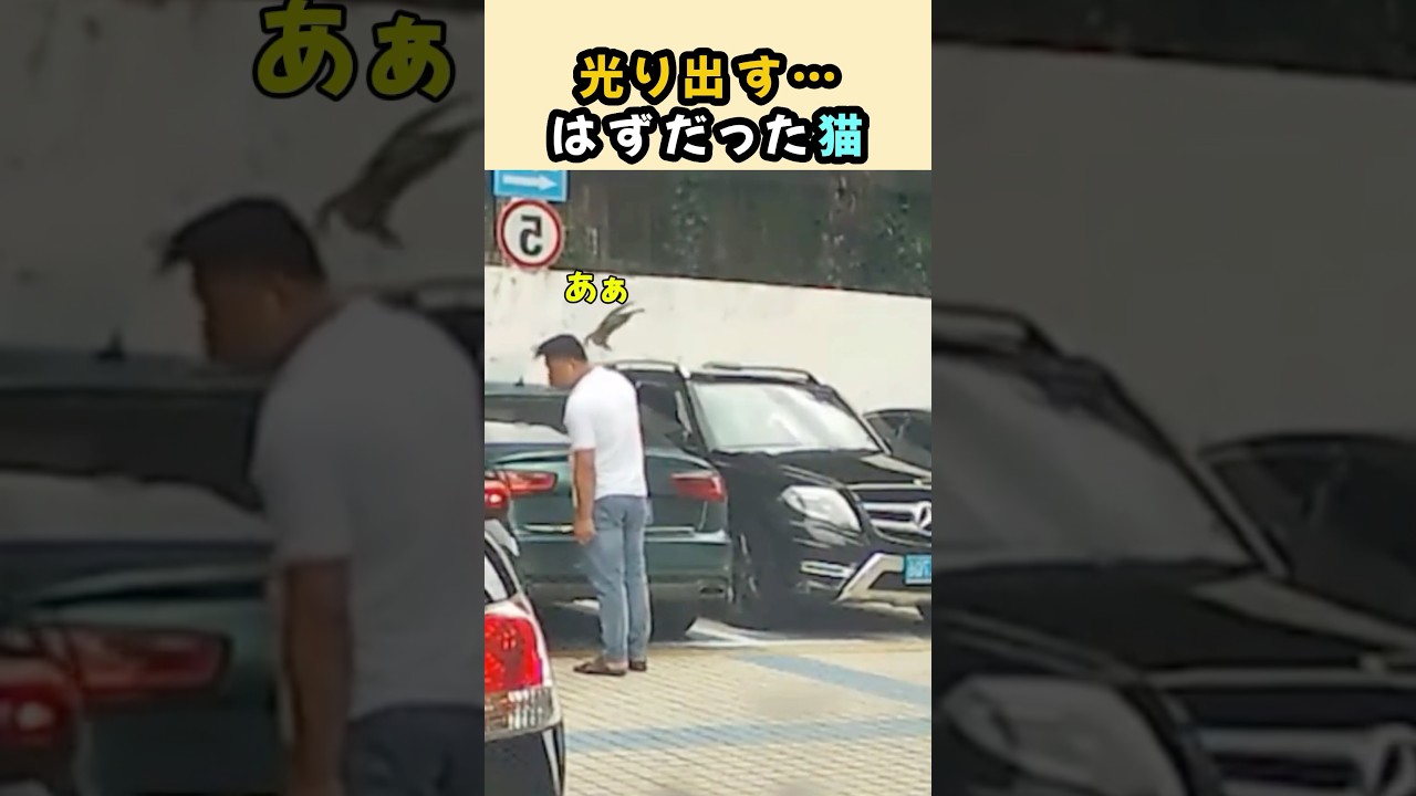 光り出す…はずだった