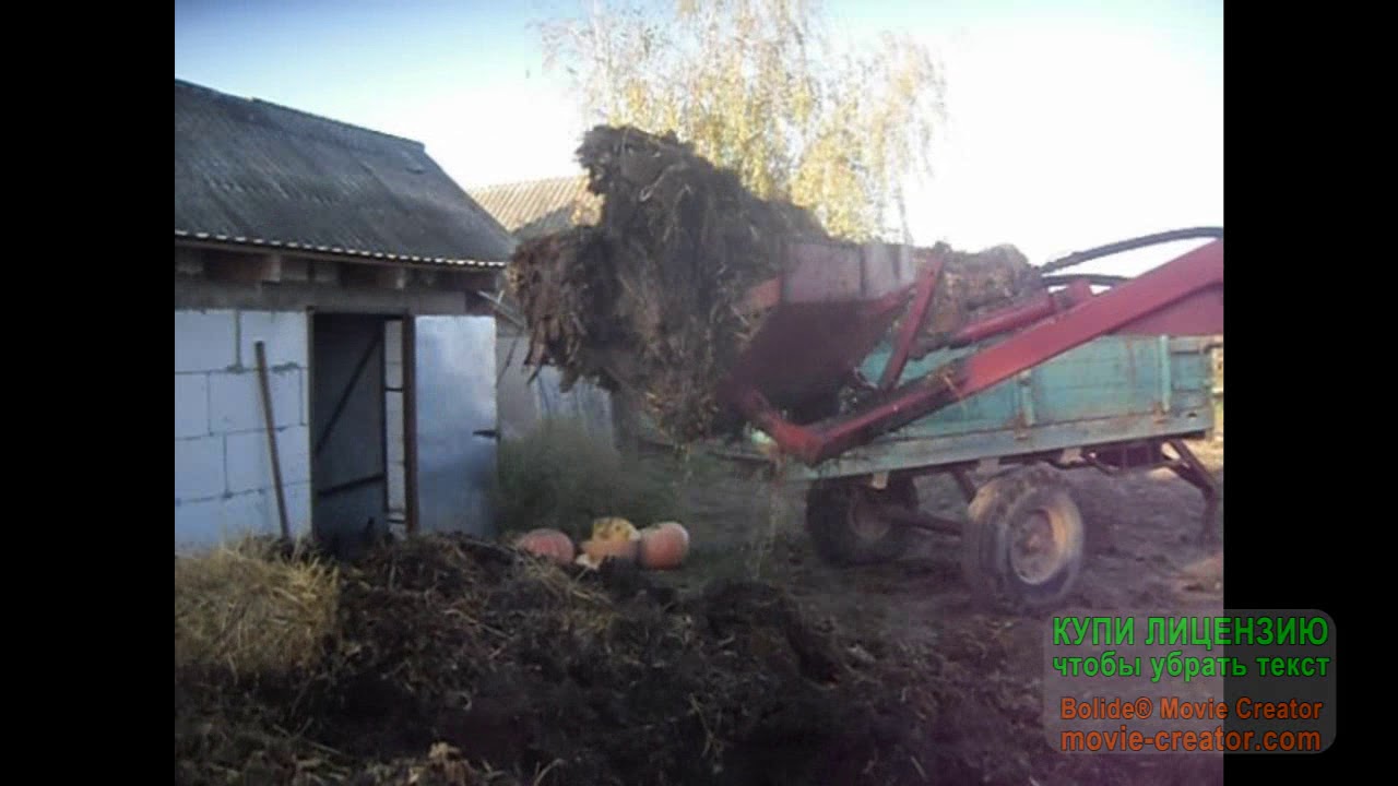 Погрузка гною