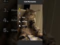 Cat Moments😂😹 #shorts