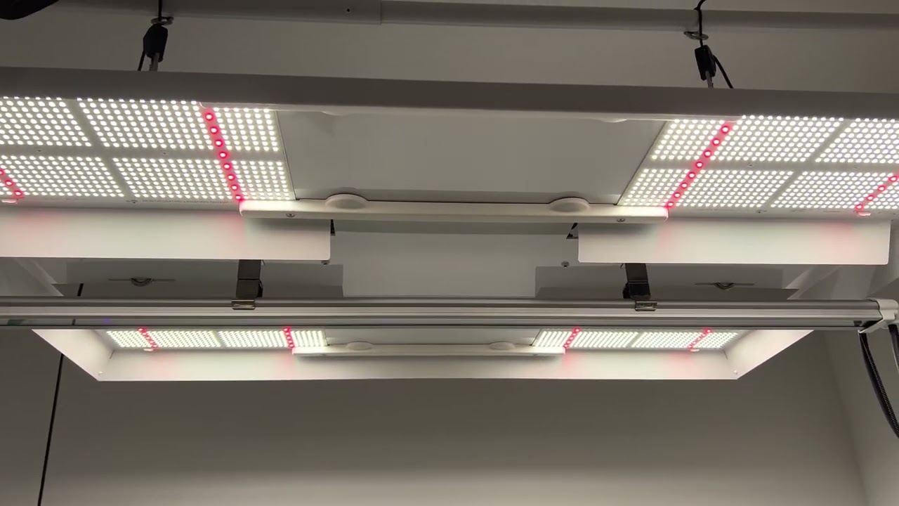 HLG 750 Diablo Quick review