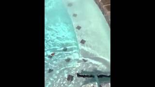 White Powder In Pool After Conquest Treatment White Powder In Pool After Conquest Treatment