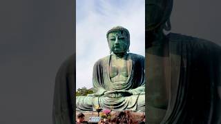 Kamakura Daibutsu #japan #japão #kamakura #budha