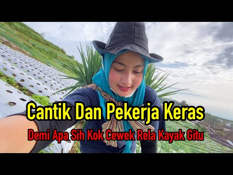 Semangat Petani Cantik Yang Luar Biasa (Panen Daun Bawang)