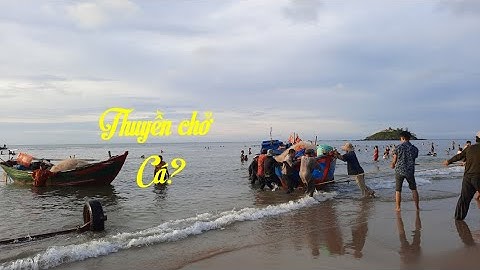 Cuộc sống ngư dân miền biển | Phần 1: Thu lưới bán cá - Du lịch và Khám phá Vũng Tàu 2020