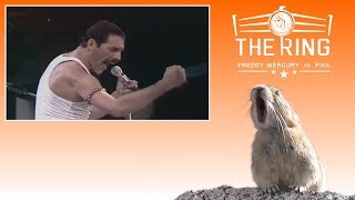 The Ring [Freddy Mercury vs Pika] - Eeeooo Profile