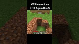Minecraftthe Reason