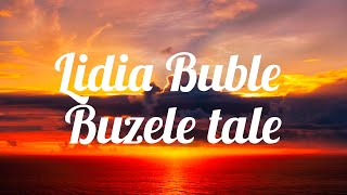 Lidia Buble - Buzele tale(lyrics)