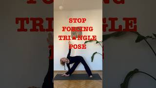 Triangle Pose Alignment