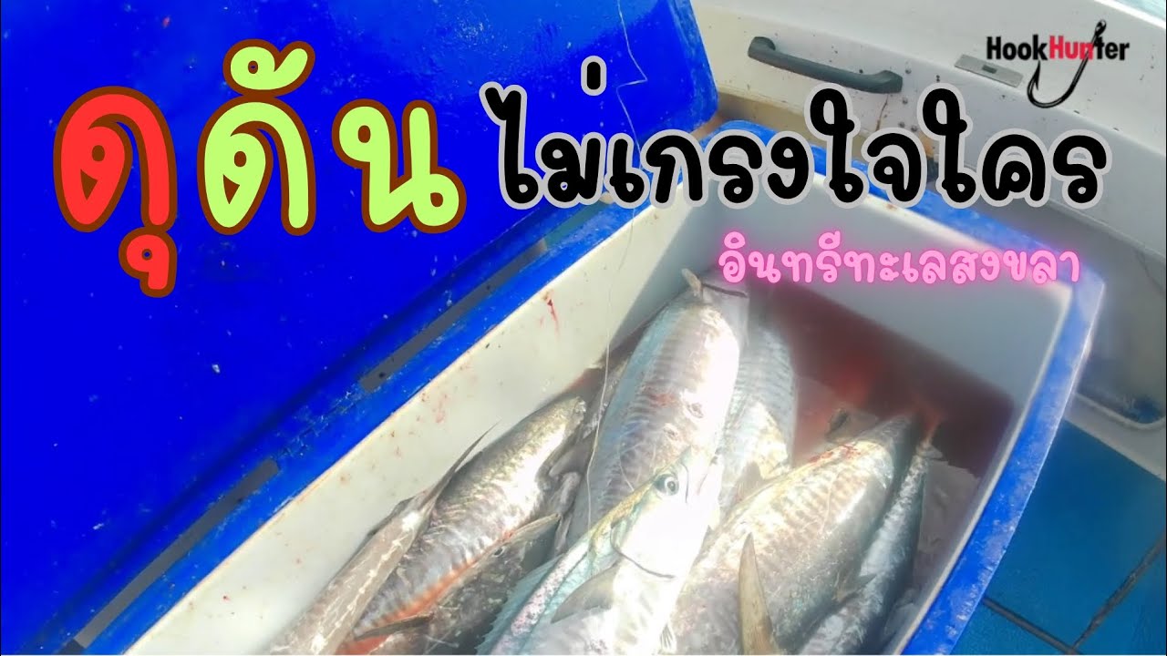 ดุดันไม่เกรงใจใครอินทรีสงขลา |Hookhunter