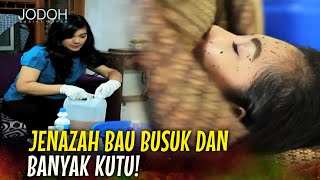 Download Lagu TULAH PEMBUAT OBAT KUTU KADALUARSA! | Jodoh Wasiat Bapak Eps 208 Full MP3 Download Lagu TULAH PEMBUAT OBAT KUTU KADALUARSA! | Jodoh Wasiat Bapak Eps 208 Full MP3