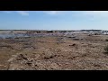 Mud Volcanoes