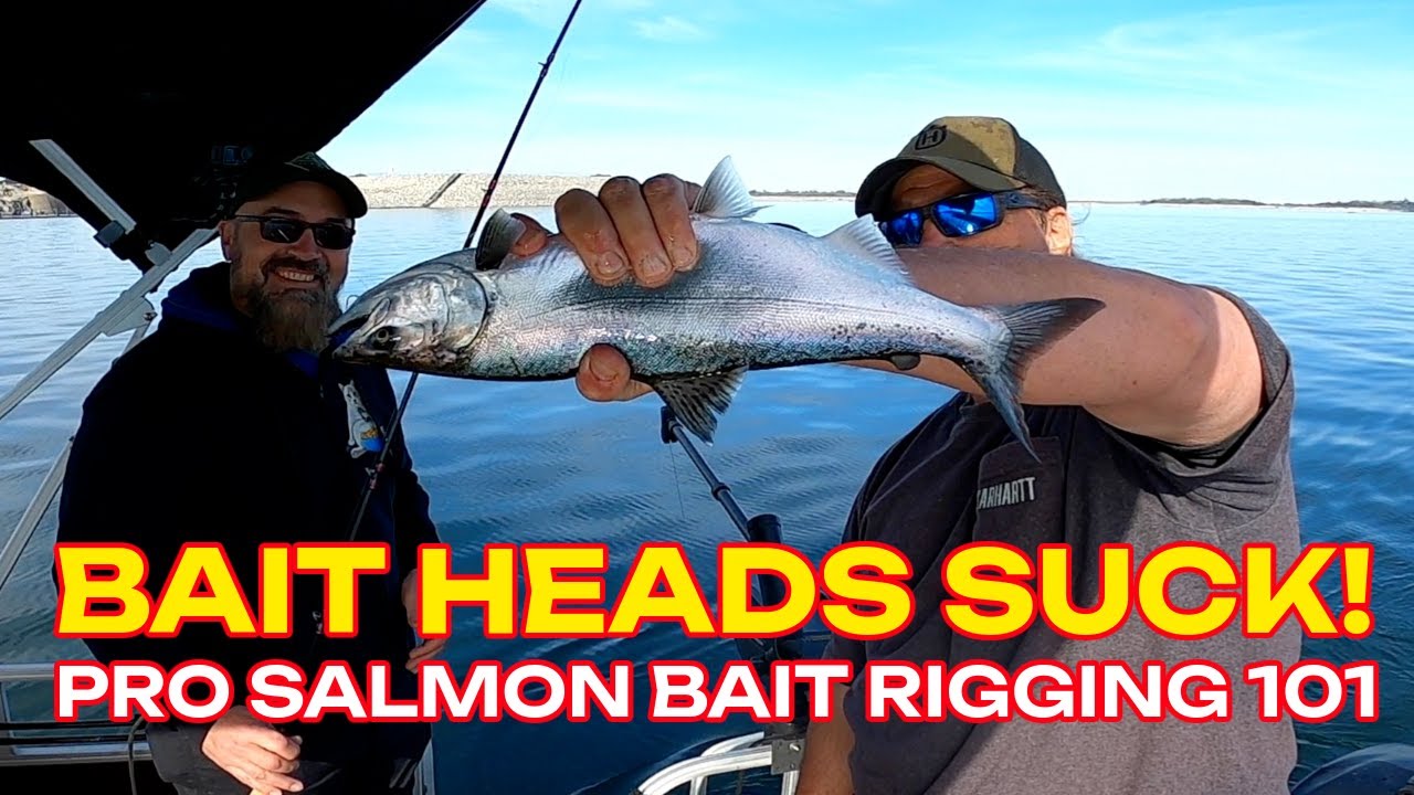 Anchovy Rigging 101: Catch Landlocked King Salmon On Rigged Bait