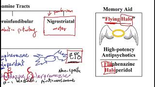 USMLE ACE Video 108: Antipsychotic medications