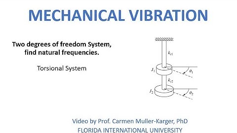 Example Two DOF System   Torsional system  Free vibration response