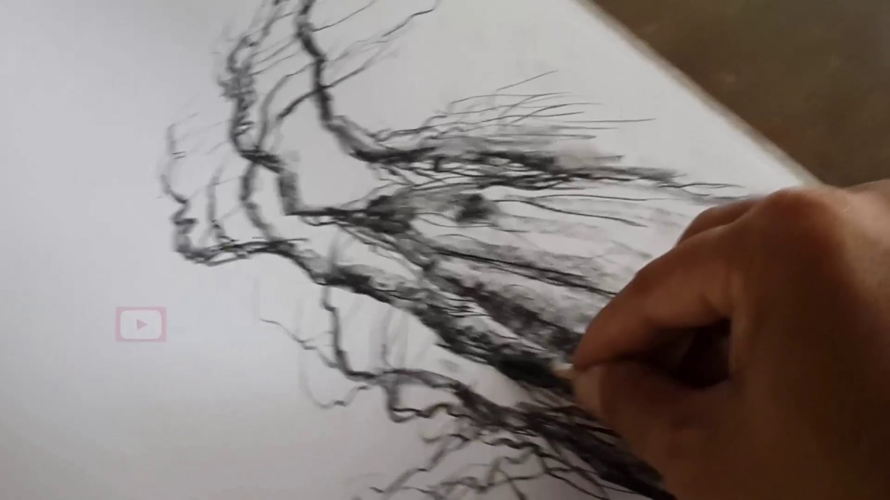 Charcoal Pencil Tip Menggambar Pohon YouTube