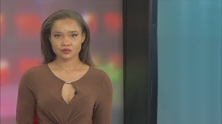 Trump tariffs could impact wedding dress costs