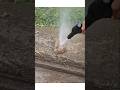 JPT F10 car washer machine call 7566644430 unboxing Pressure testing #nittorai