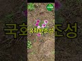 국화원조성 - 소리정원에서 #소리정원