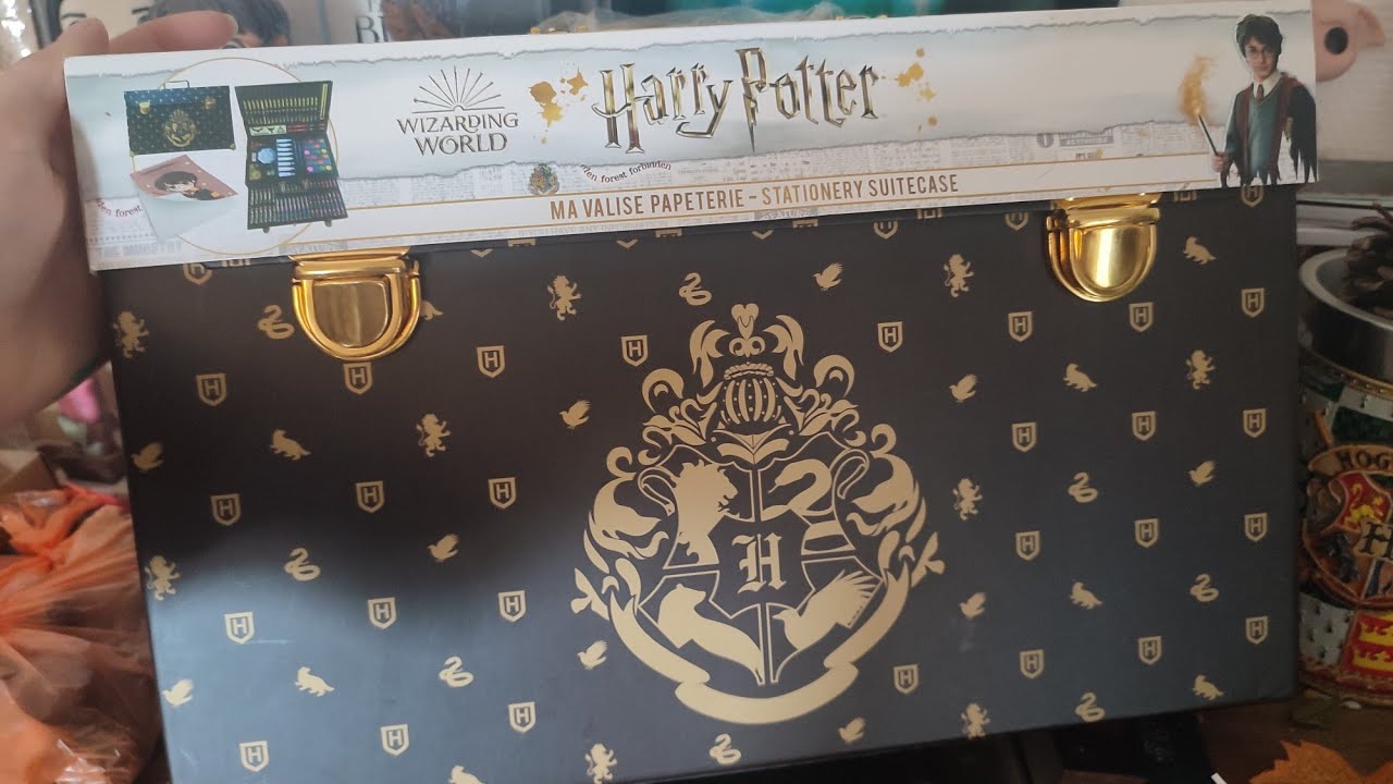 La valise de Harry Potter (Daniel Radcliffe) dans Harry Potter à l