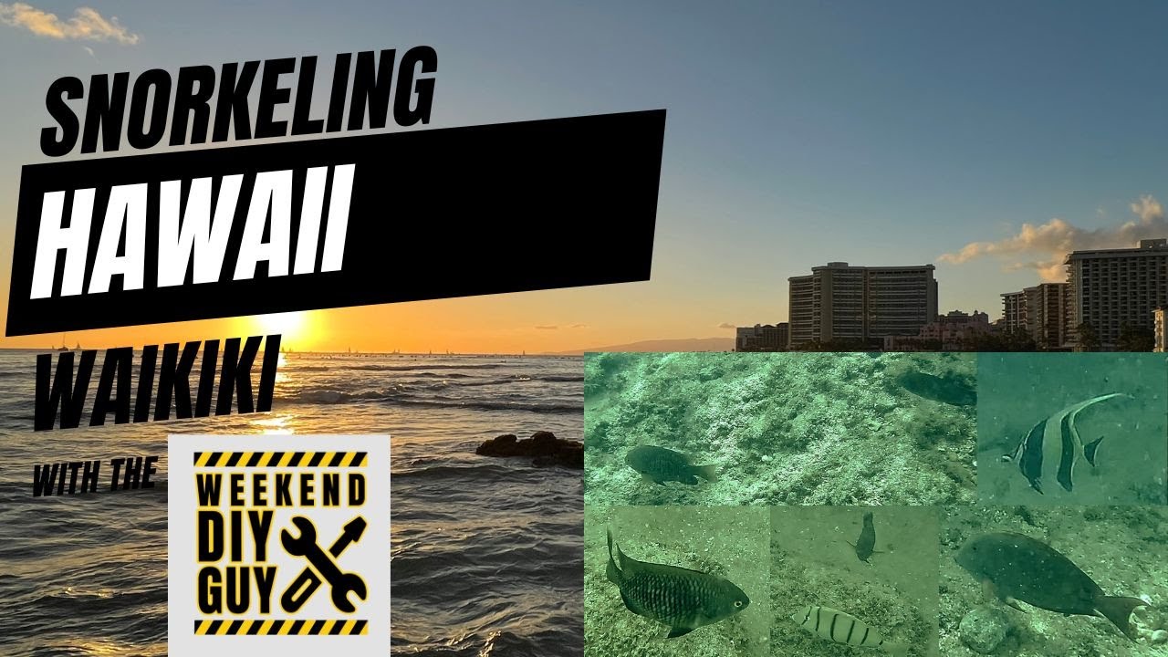 Snorkeling in Hawaii | Waikiki Beach Hawaii | Family activities in Hawaii | Free beach activities