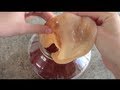 HOW TO BREW KOMBUCHA & MAKE SCOBY