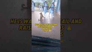 Only Love Can Hurt Like This 💔 Please Dont Do Like This 😭🙏 Resimi