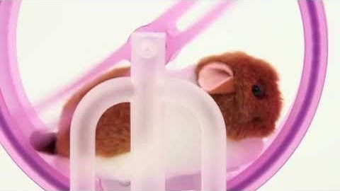 Little Scampster Wheel Workout from Hawkin