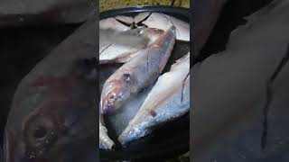 COOKING FRIED FISH ANG SARAP #trendingnow #viralvideos