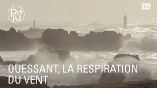 Sur l'île d'Ouessant, le vent rythme la vie des habitants et des animaux