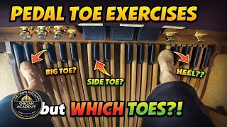 Pedal Toe Exercises 13