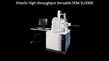 [SEM] Hitachi High-throughput Versatile SEM SU3900