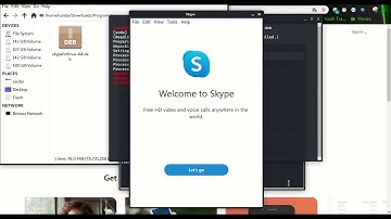 How to Install Skype on Kali Linux 2020.1 Operating System using Terminal