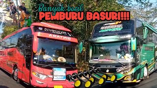 GEGER GEDEN‼️HUNTING BUS BARENG BOCIL-BOCIL AUTO DIKASIH BASURI