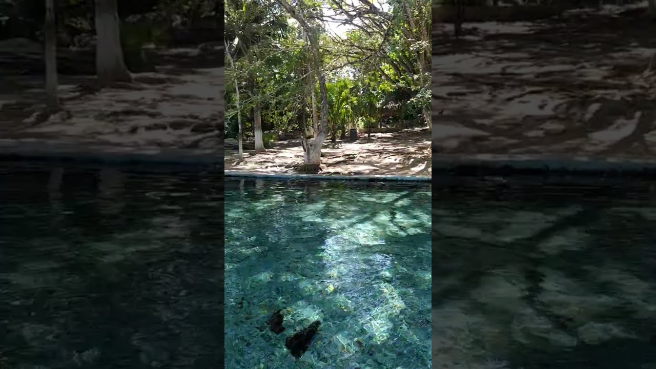 ¿Sabías de este balneario natural? suscríbete para que no te pierdas el vídeo #nature #travel
