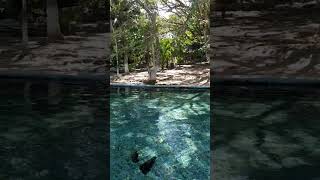¿Sabías de este balneario natural? suscríbete para que no te pierdas el vídeo #nature #travel