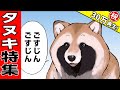 可愛すぎるタヌキまとめ【世界の終わりに柴犬と】