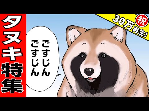 可愛すぎるタヌキまとめ【世界の終わりに柴犬と】